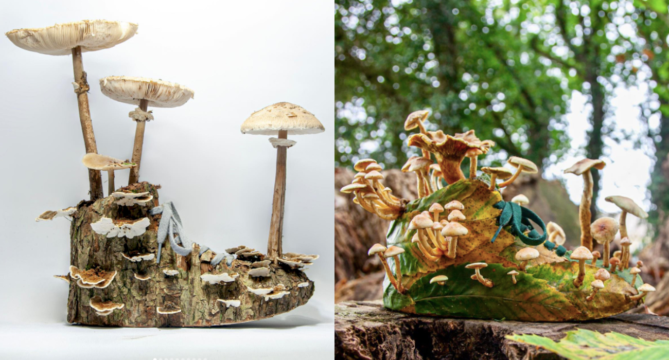 Leśne buty – tak wygląda połączenie roślin i grzybów ze sneakersami