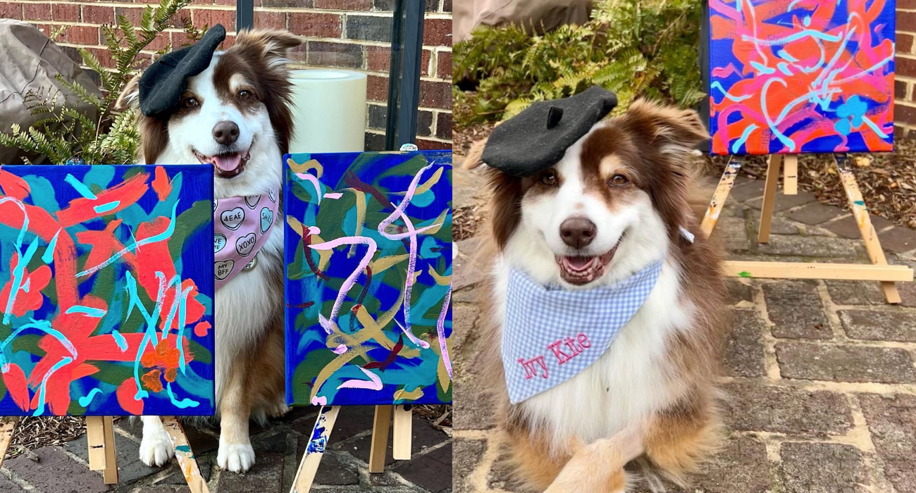 Suczka Ivy maluje obrazy, tylko w 2022 zebrała 8 tys. dolarów na cele charytatywne