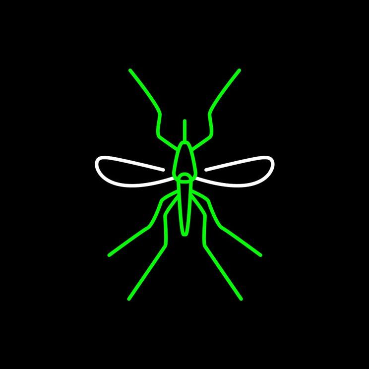 MOSKITY K MAG-a rozdane! Zobaczcie, do kogo powędrowały nasze nagrody