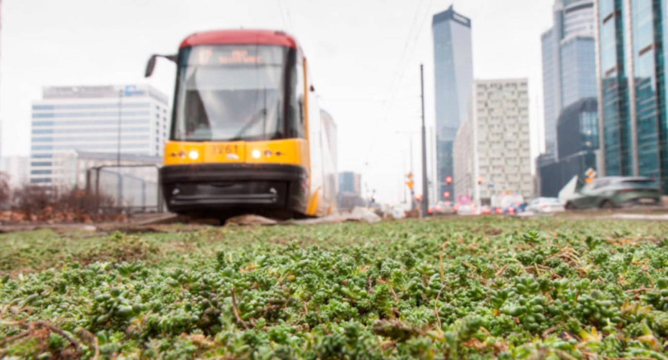 Blisko 40 km zielonych torów w stolicy. Warszawa stawia na zieleń!