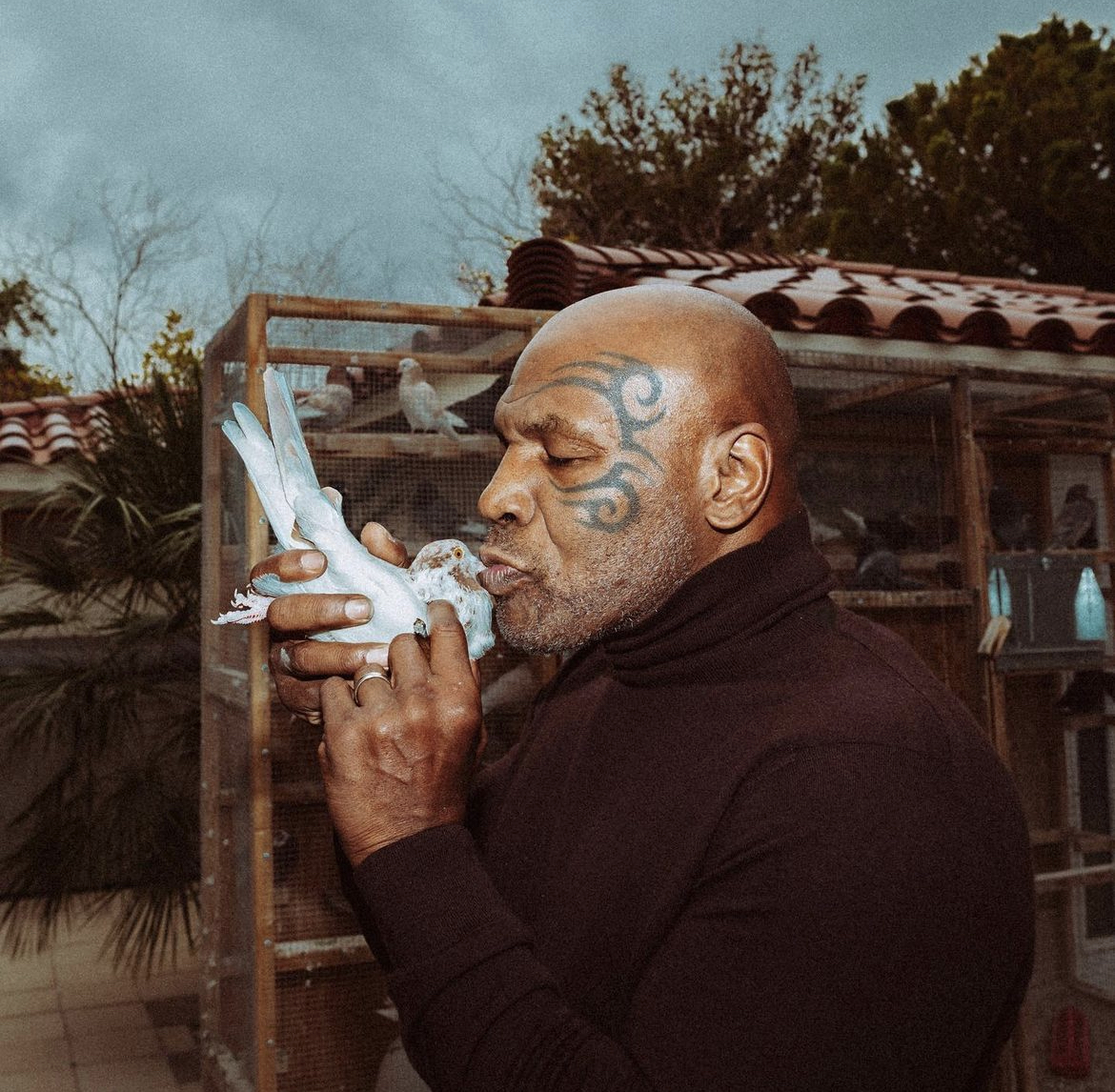 Mike Tyson odwiedził Polskę w nietypowym celu – kupił lokalne gołębie