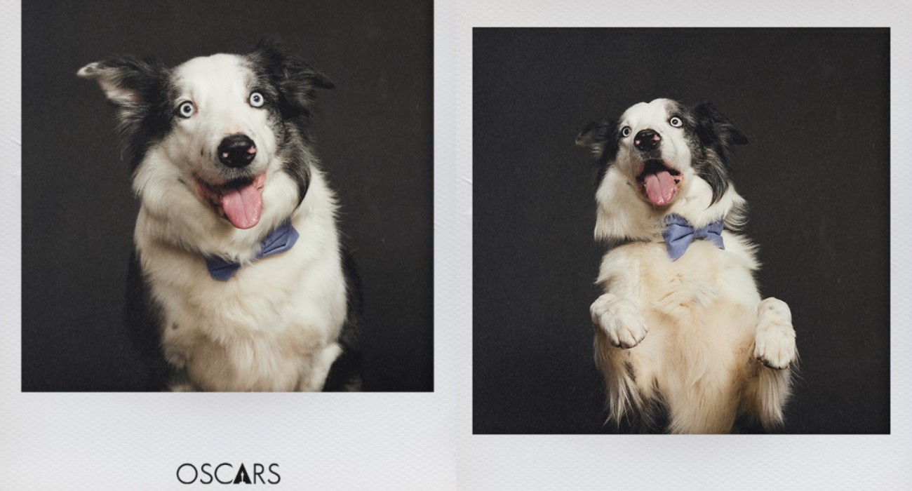 Messi – pies, który zasłużył na Oscara