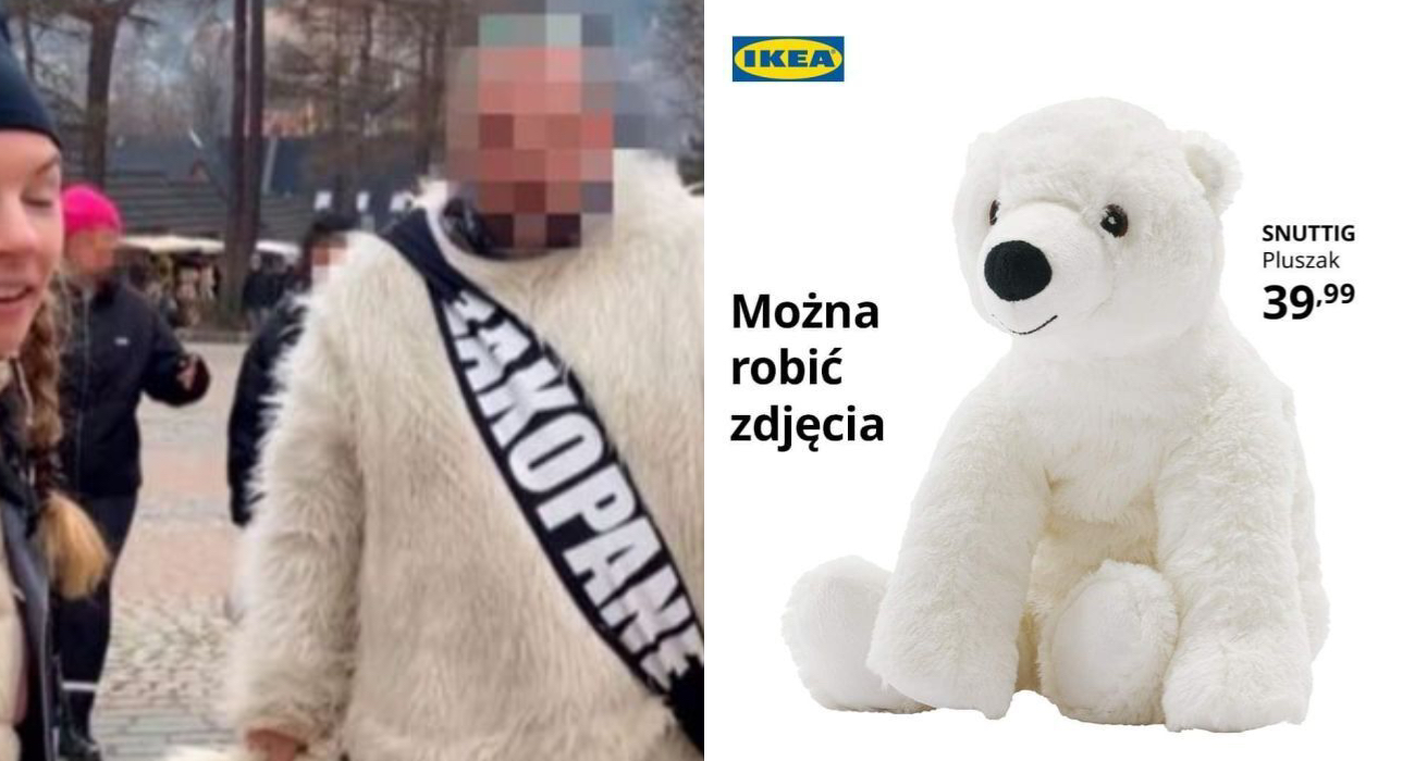 Zakopiański miś z mandatem. Odpowiedź IKEA to hit