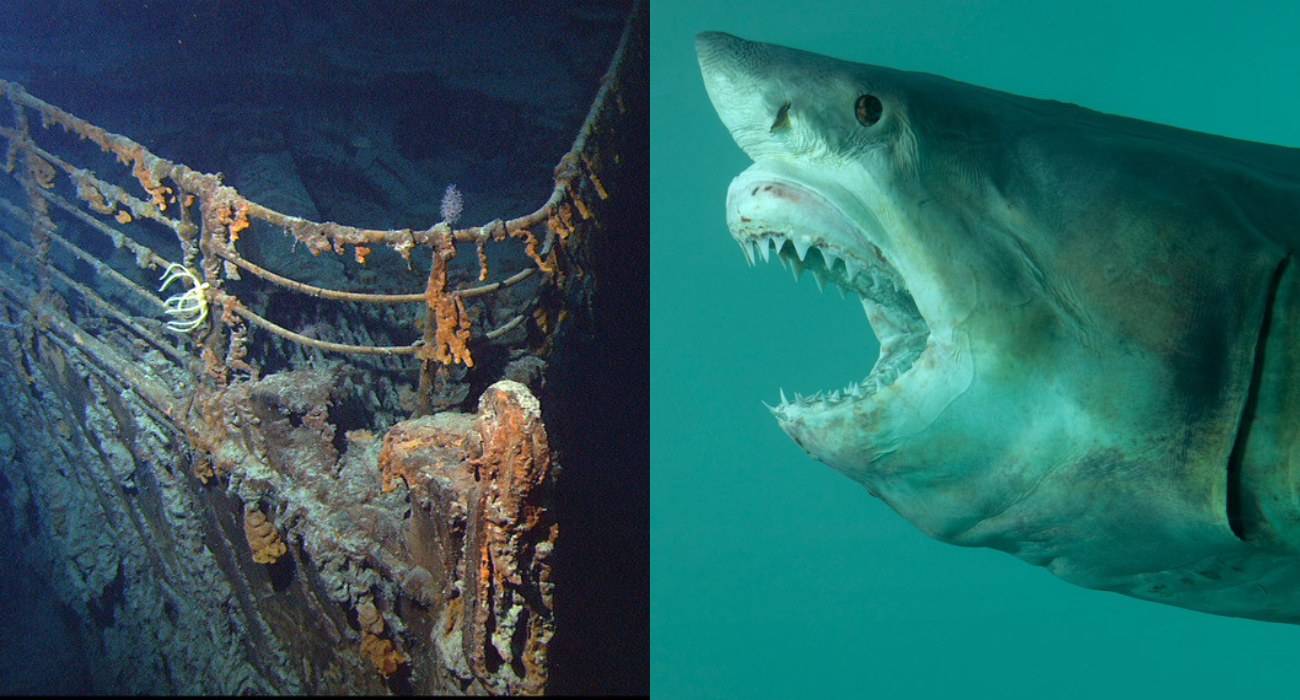 Staż w kadłubie Titanica – artyści zaproszeni w głąb oceanu