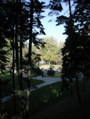 Warszawa w czołówce światowego rankingu miast idealnych na spacer