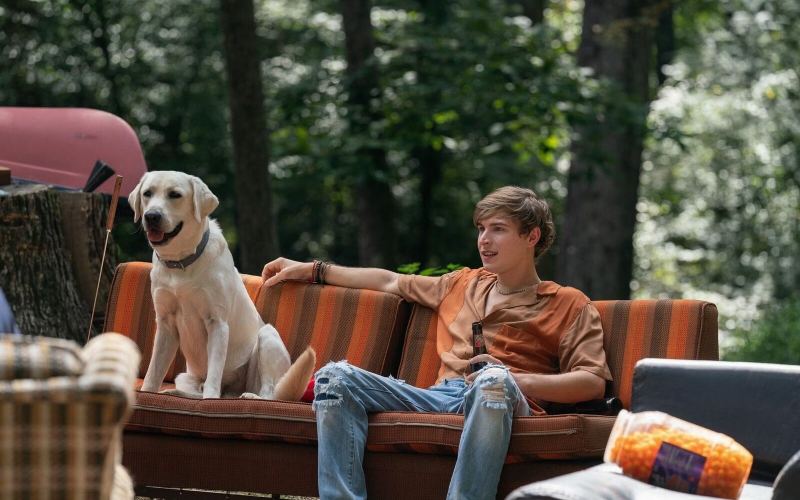 „Pies nie umiera, pies zdycha” –  profesor Jerzy Bralczyk wywołał burzę w sieci