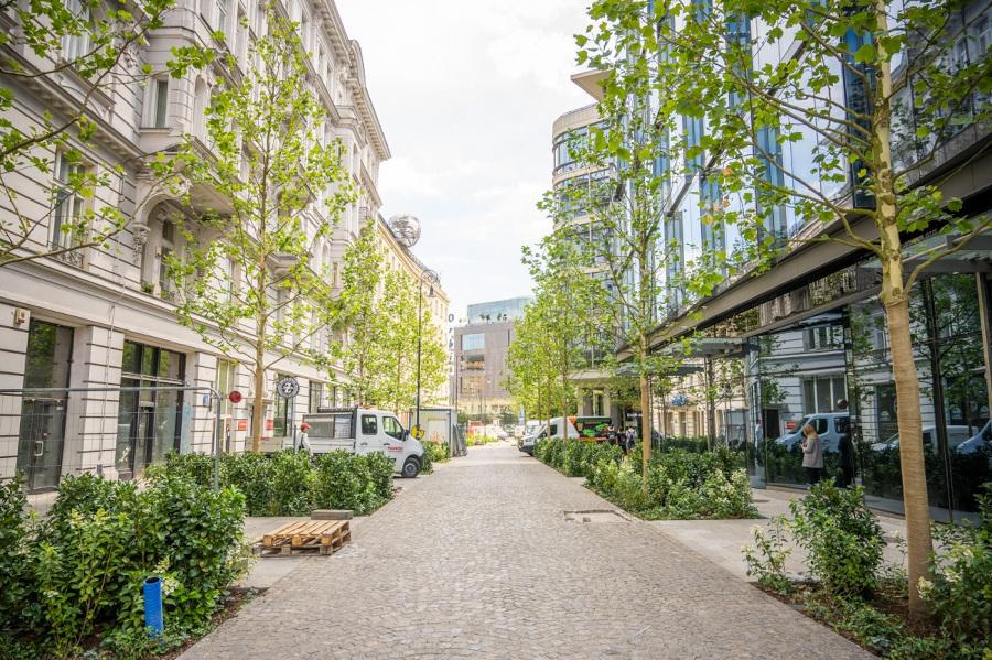 Koniec przebudowy ul. Brackiej w Warszawie! Zielony deptak robi wrażenie [ZDJĘCIA]