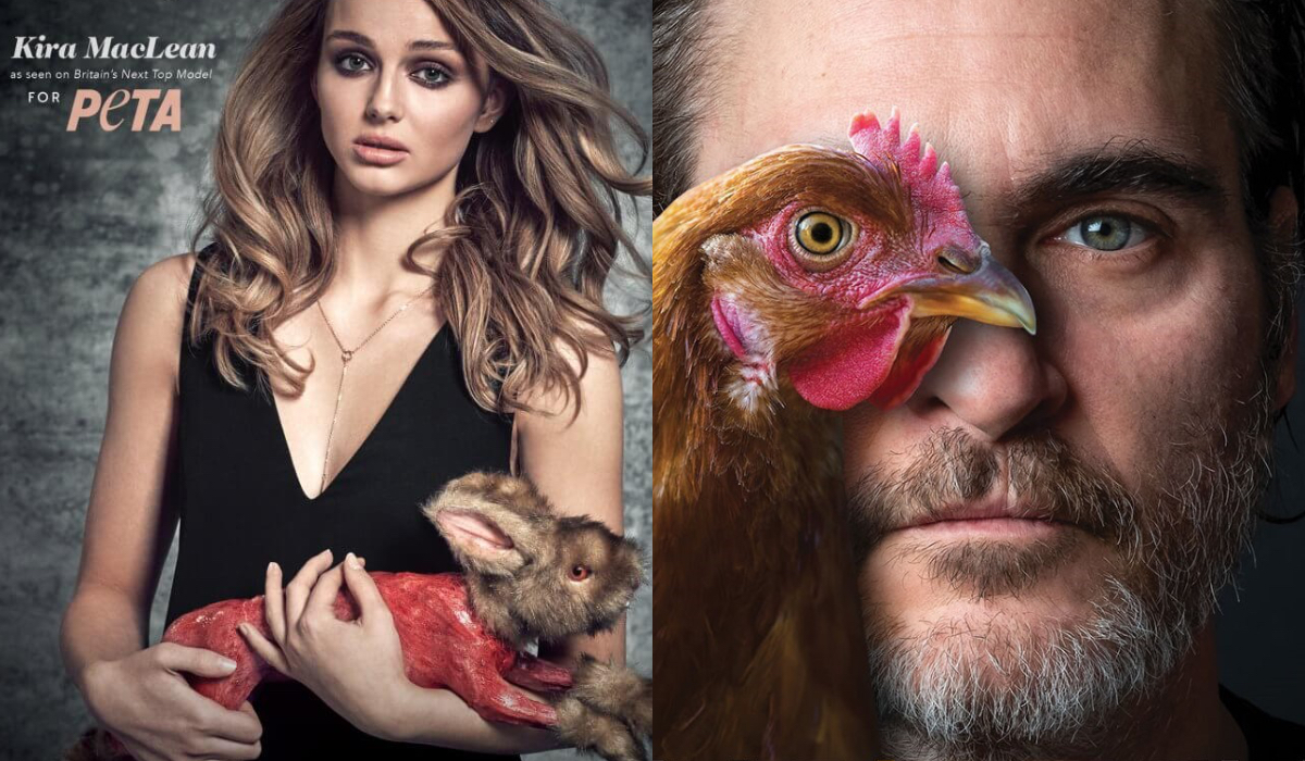 Krew, seks, ludzkie tragedie – 12 najmocniejszych kampanii PETA