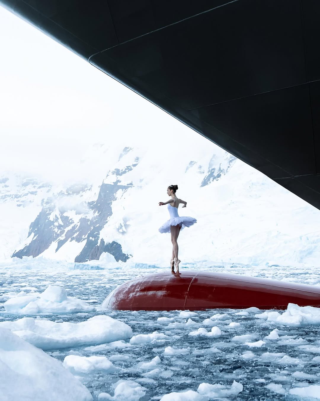 Baletnica tańczy na dziobie statku na Antarktydzie. Jej występ stał się viralem [WIDEO]
