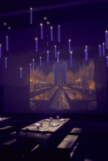 Wystawa Harry’ego Pottera w Polsce – wszystko, co trzeba wiedzieć!