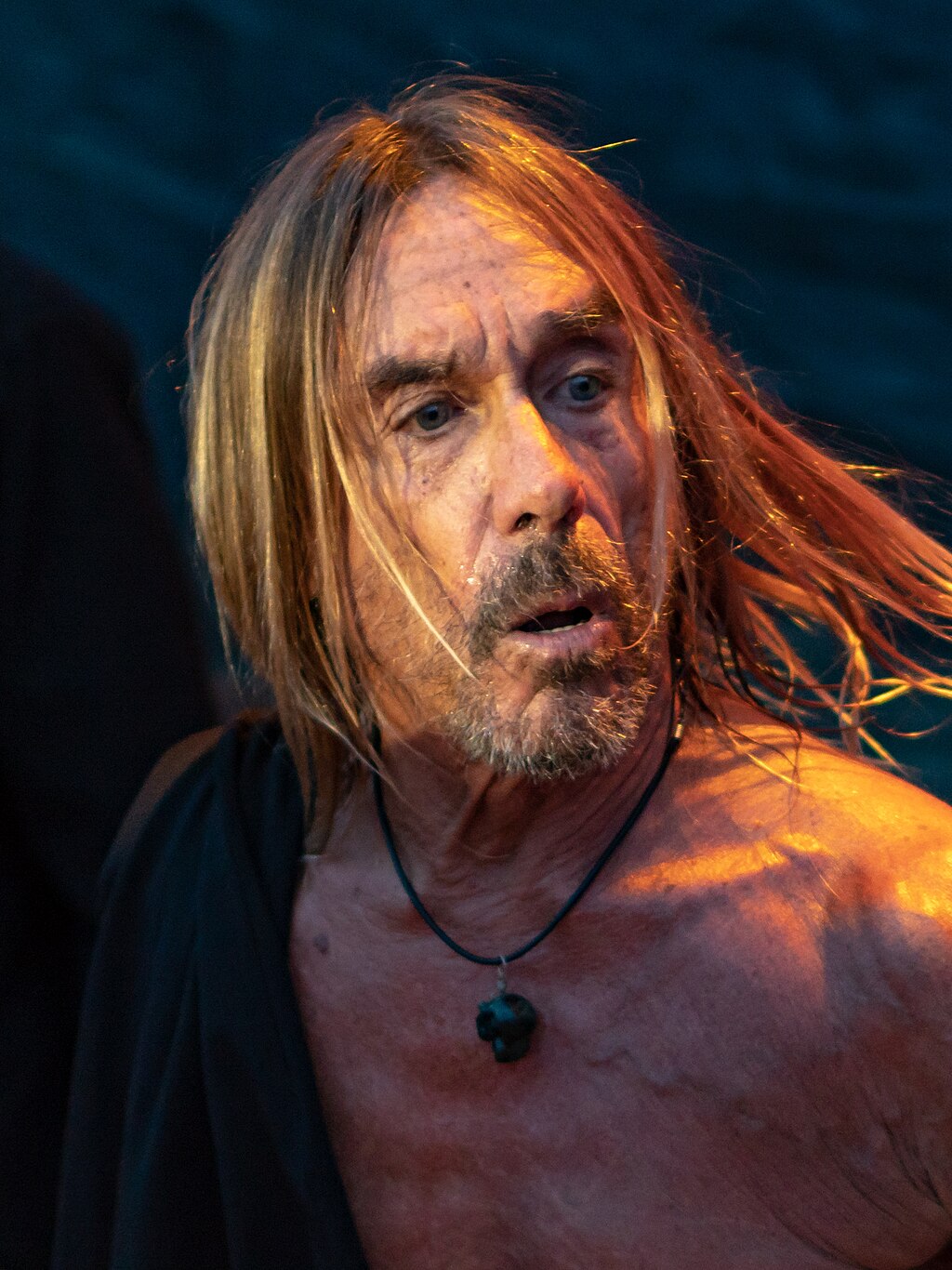 Iggy Pop promuje polskie brzmienia – Polka doceniona po raz kolejny
