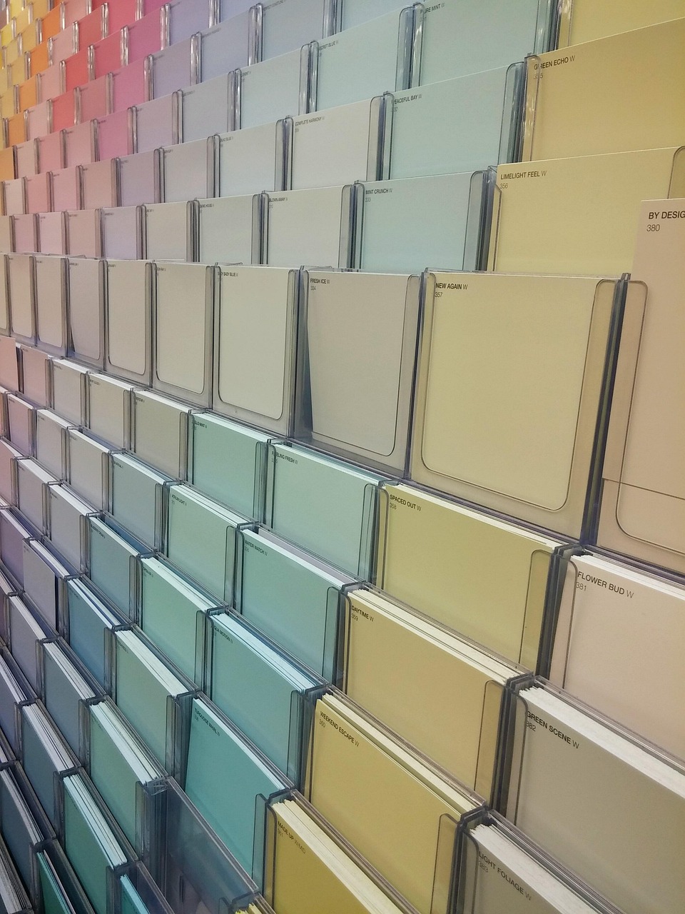 Świat blaknie do szarości – czemu kolor znika z naszego otoczenia