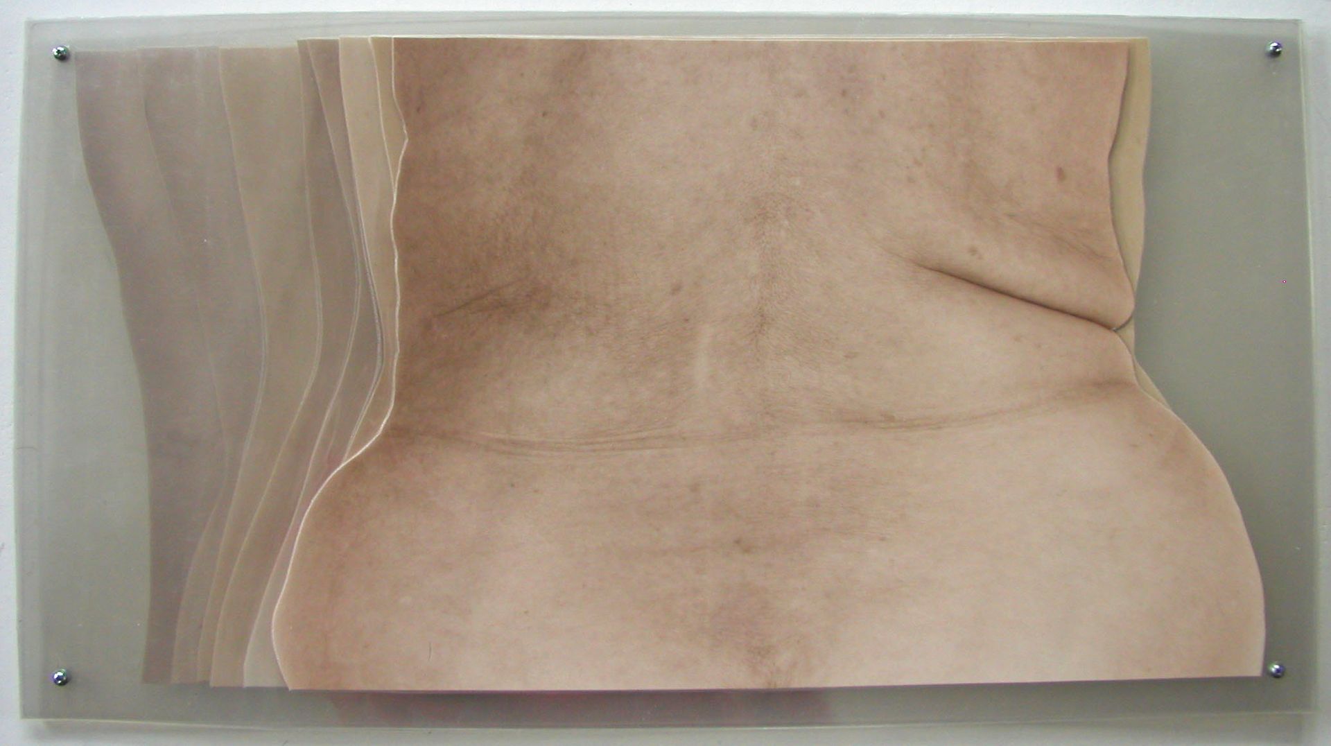 Polacy, którzy podbili Paris Photo 2025