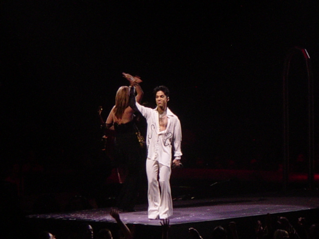 Prince – plastikove love