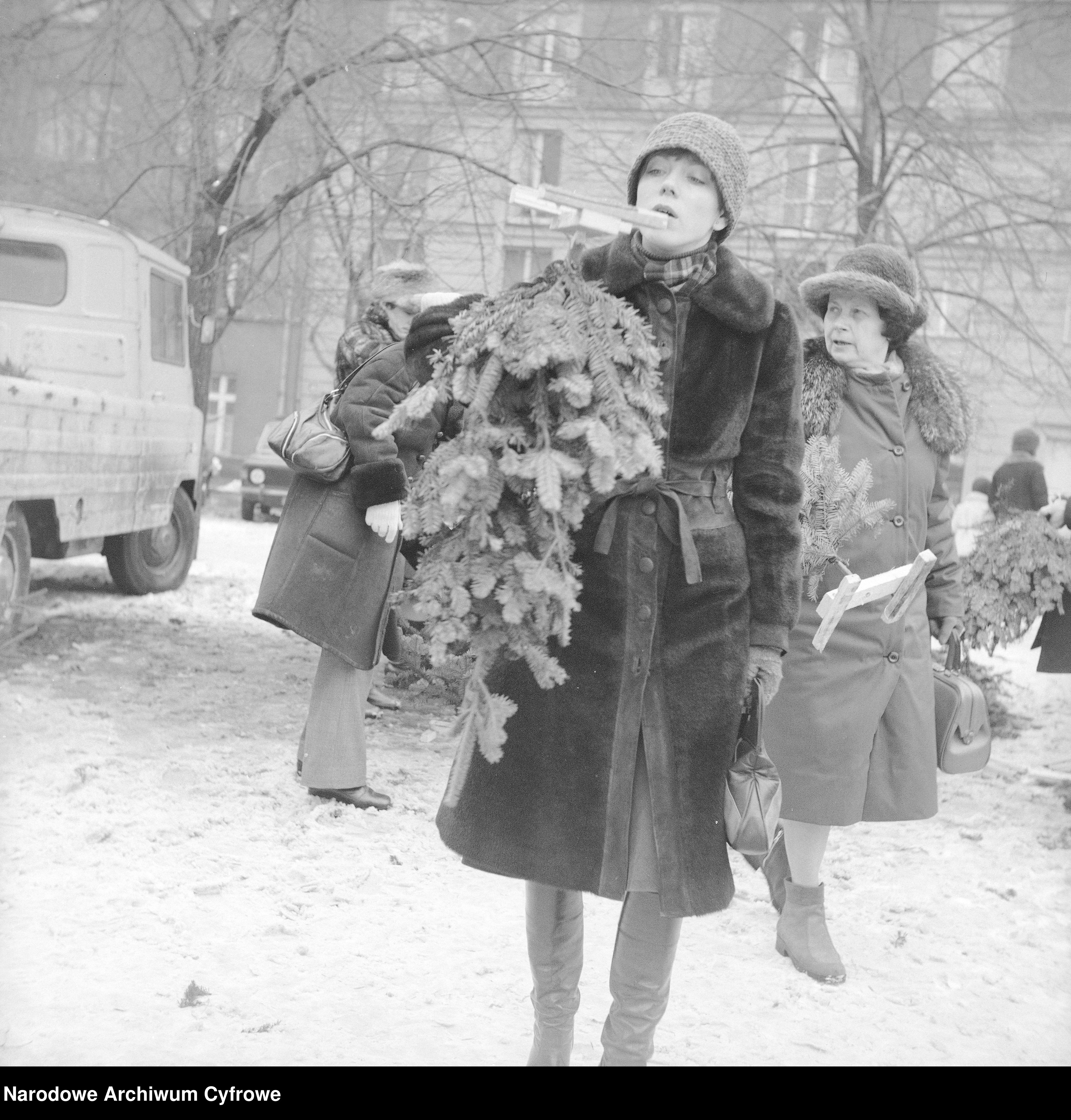 Sprzedaż choinek w Warszawie