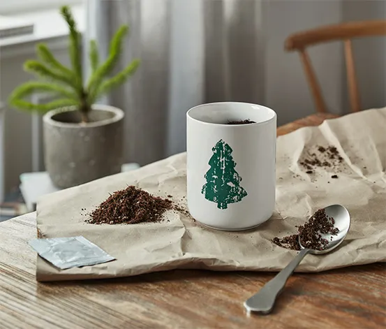 Zestaw do wyhodowania choinki