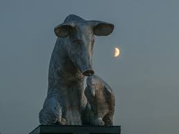 Z popiołów, Zachęta – Narodowa Galeria Sztuki w Warszawie