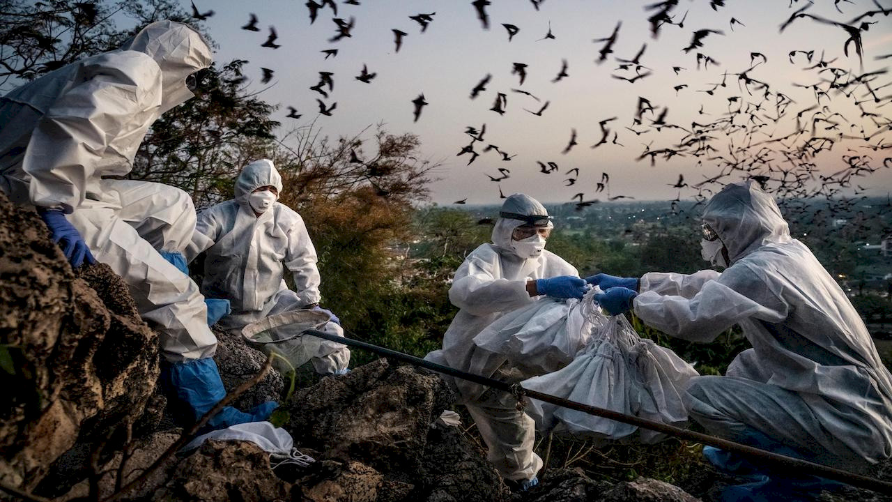 „Znaleźć winnego”