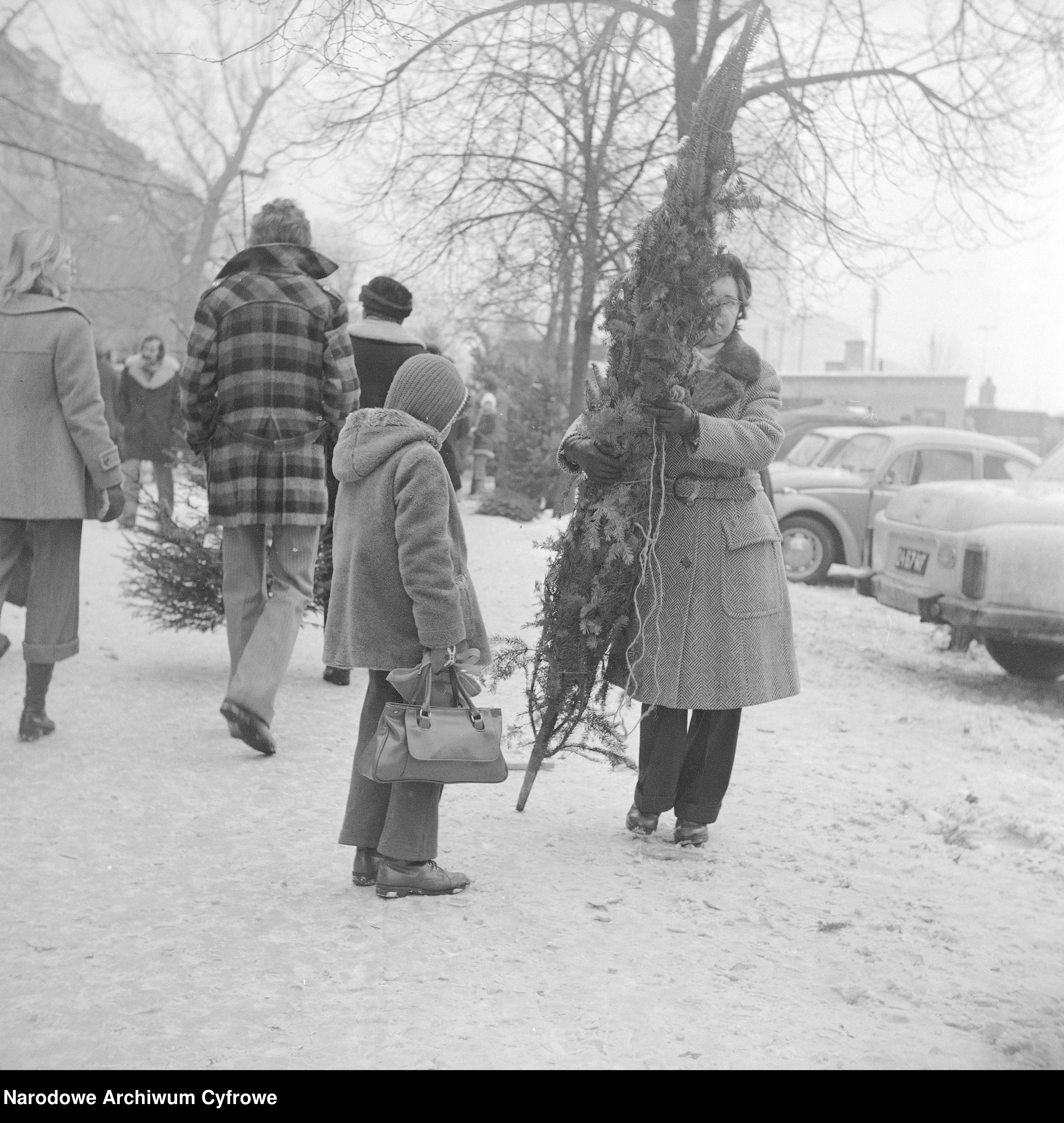Sprzedaż choinek w Warszawie