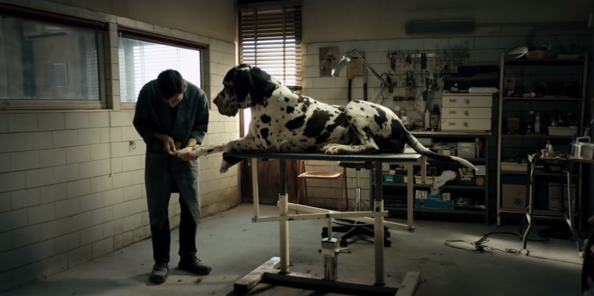 5. Dogman, reż. Matteo Garrone