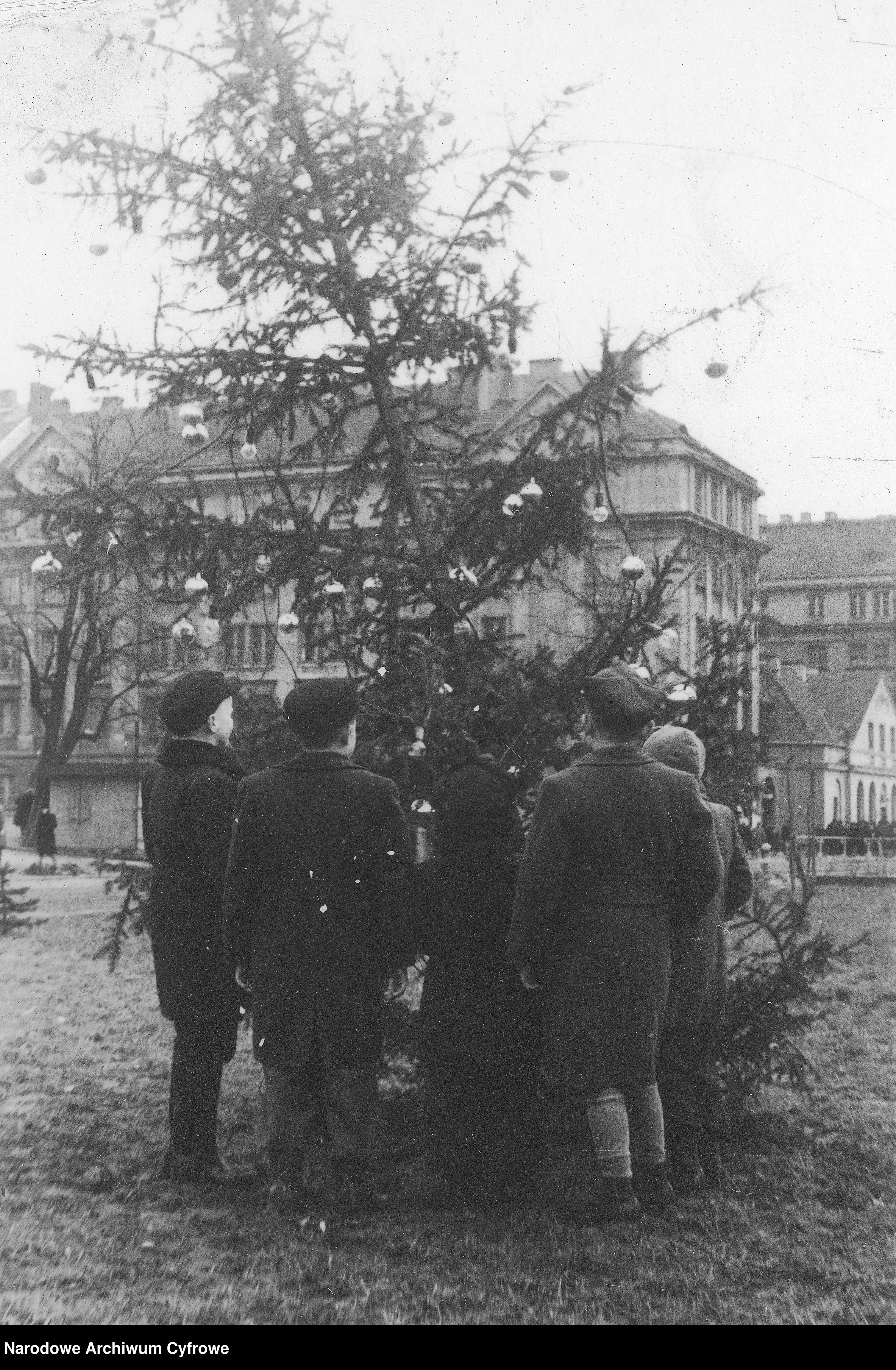 Choinki na ulicach Warszawy