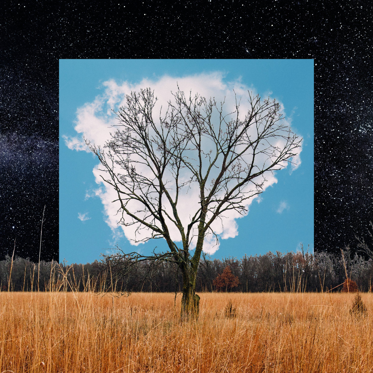 34. Fink - Bloom Innocent