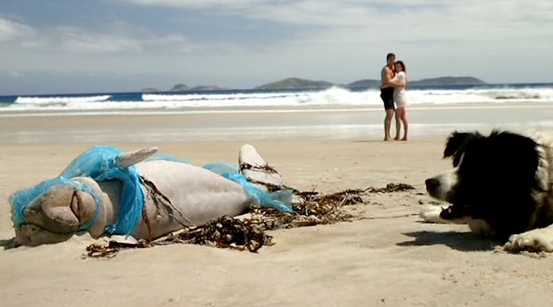 „Długi weekend” (1978), reż. Colin Eggleston